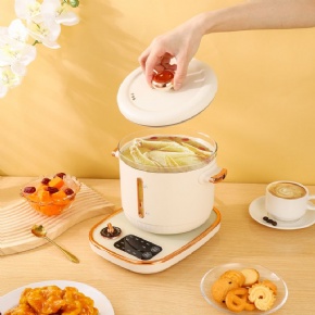 Newest Customized Luxury Style Multi-Functional Set For Boiling Water Electric Kettle Hot Pot Steaming Glass & Plastic Double Shell Anti-Scald Design