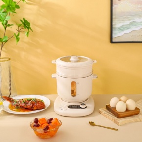 Hot Sale Series Simple Style Multi-Functional Set For Boiling Water Electric Kettle Hot Pot Steaming Glass & Plastic Double Shell Anti-Scald Design